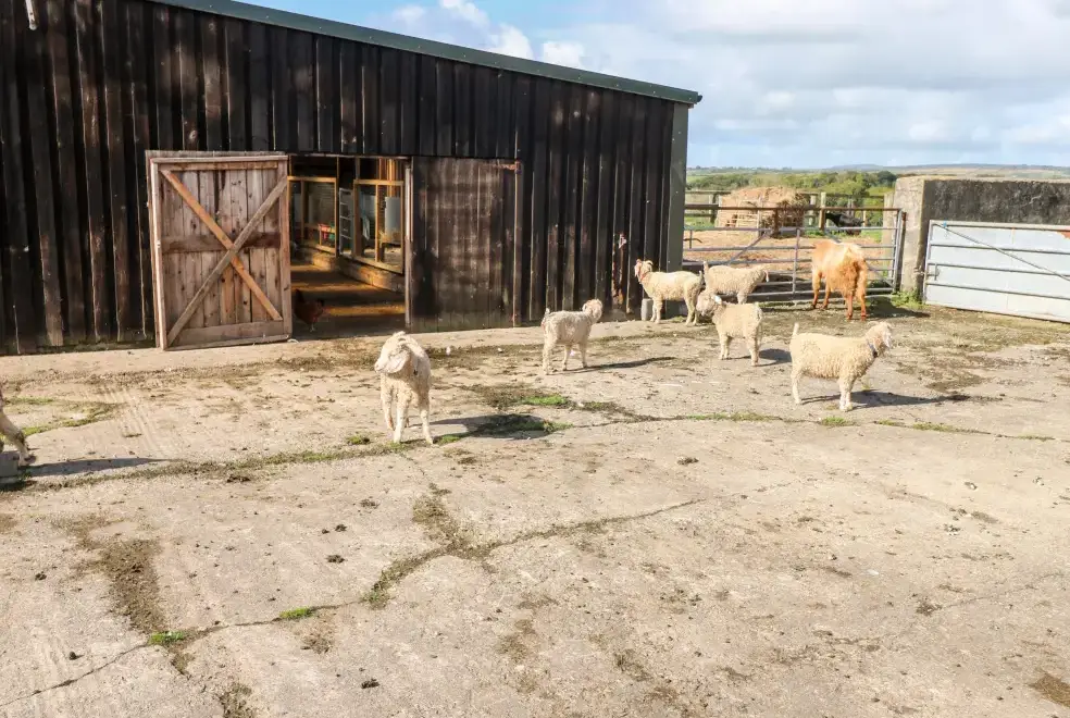 Surrounding area near Saddlers Cottage, Berllandeg Farm