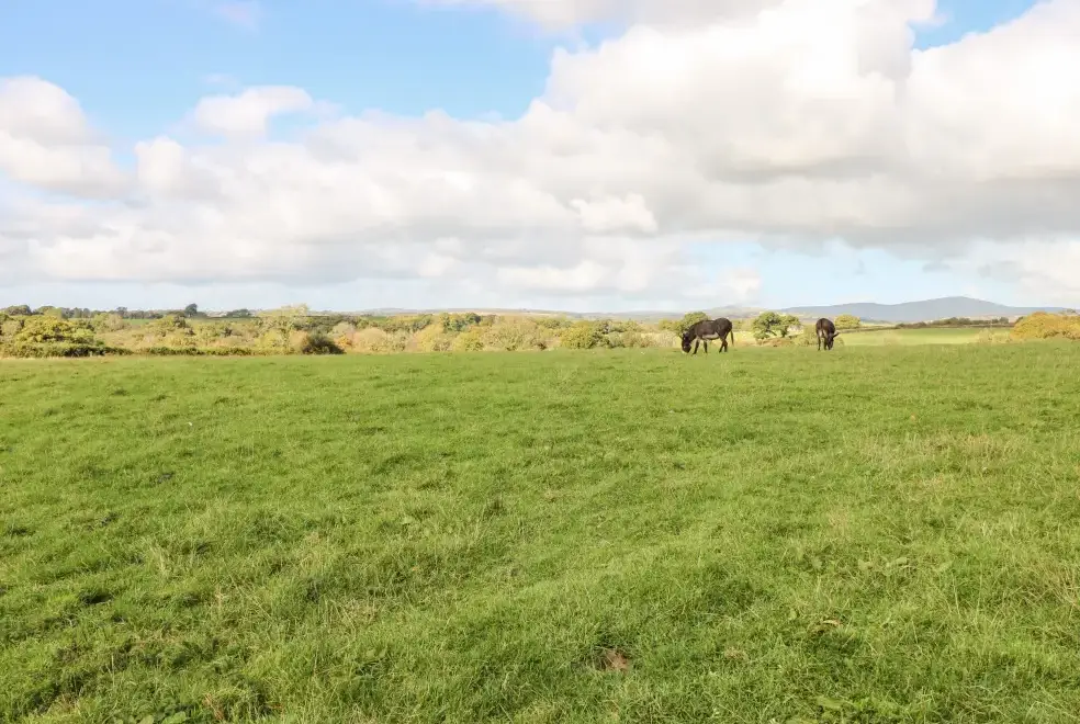 Countryside views at Saddlers Cottage, Berllandeg Farm