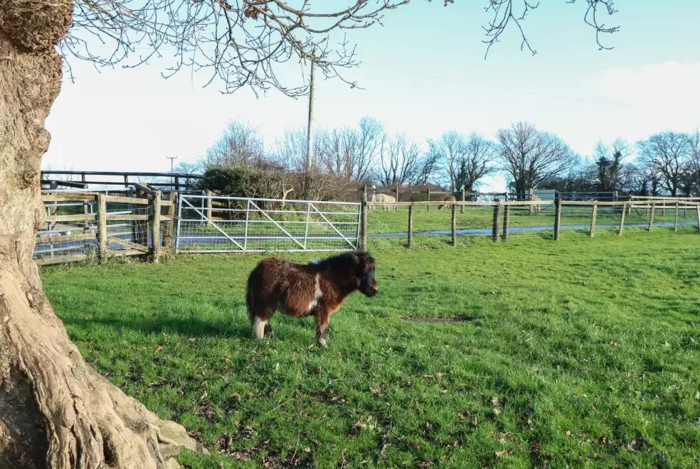  at Saddlers Cottage, Berllandeg Farm