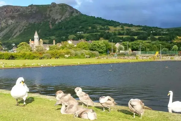 Lake view at Sea View Apartment