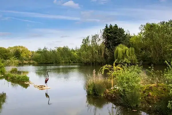Lake view at Secret Island Yurt