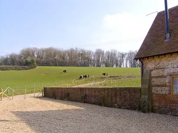 Countryside near Shepherd's Hut Barn, rural Dorset