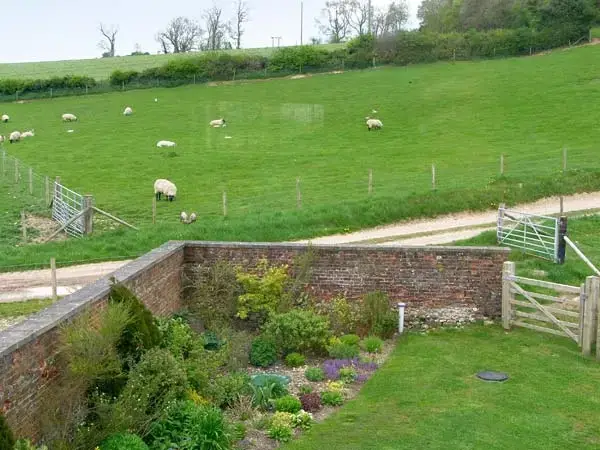 Countryside views at Shepherd's Hut Barn, rural Dorset