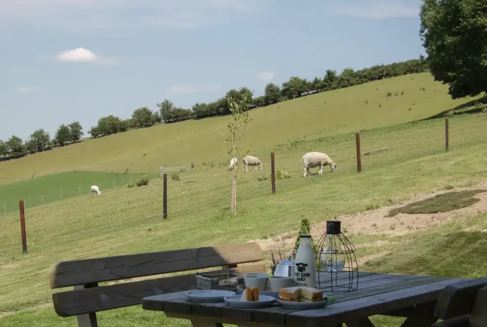 Countryside views at Shepherd's Rest