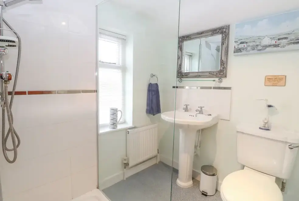 Shower room at Sleepeezy