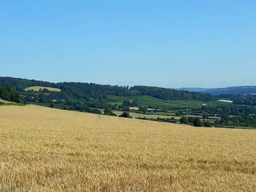 Countryside views at Sleeps 2, Romantic, Modern, Luxurious Cottage with garden, WiFi and Amazing Views