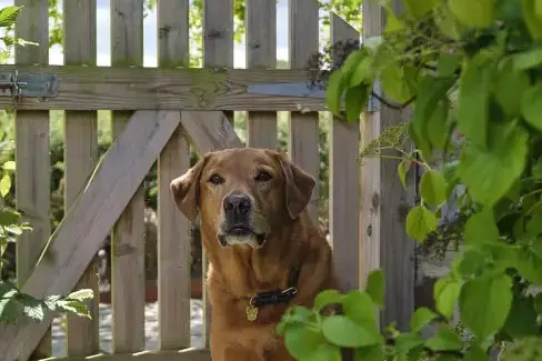 Dogs welcome at Sleeps 2, Romantic, Modern, Luxurious Cottage with garden, WiFi and Amazing Views, Herefordshire