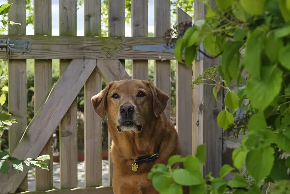 Dogs welcome at Sleeps 2, Romantic, Modern, Luxurious Cottage with garden, WiFi and Amazing Views