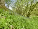  at Sleeps 4 Exmoor Rural Retreat - thumbnail photo