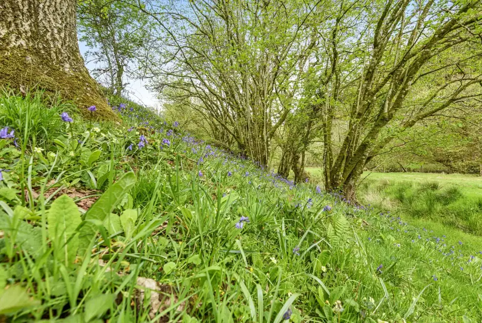  at Sleeps 4 Exmoor Rural Retreat