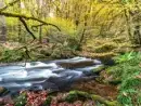  at Sleeps 4 Exmoor Rural Retreat - thumbnail photo