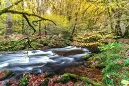 at Sleeps 4 Exmoor Rural Retreat