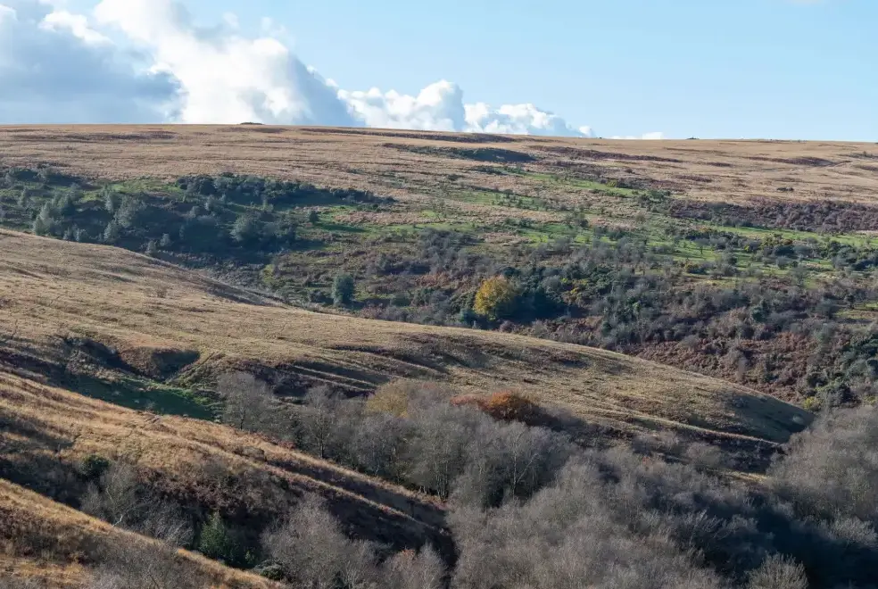  at Sleeps 4 Exmoor Rural Retreat