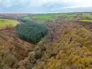  at Sleeps 4 Exmoor Rural Retreat - thumbnail photo