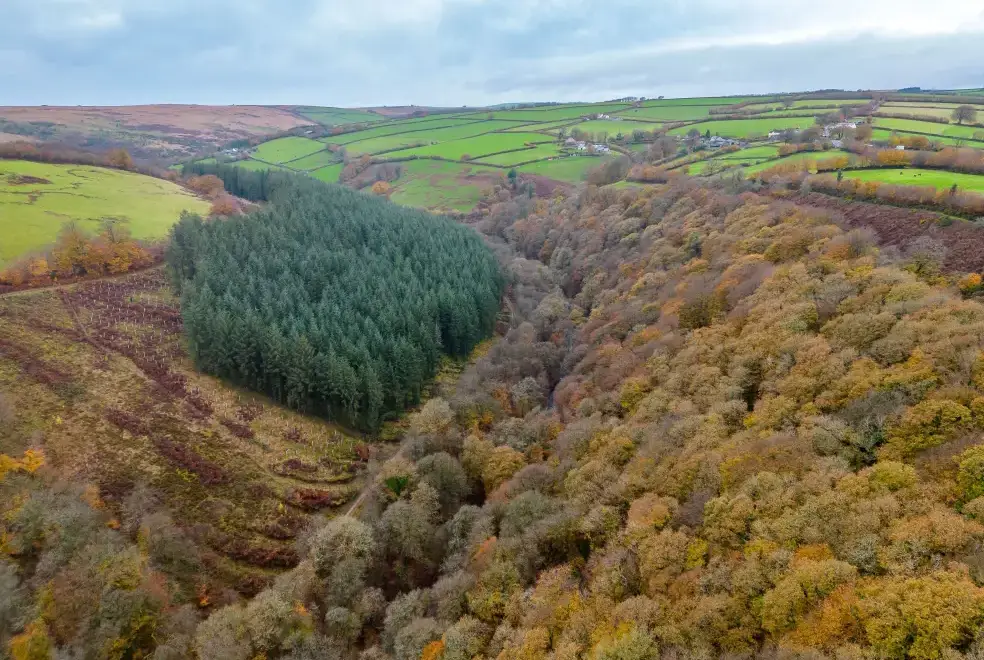  at Sleeps 4 Exmoor Rural Retreat