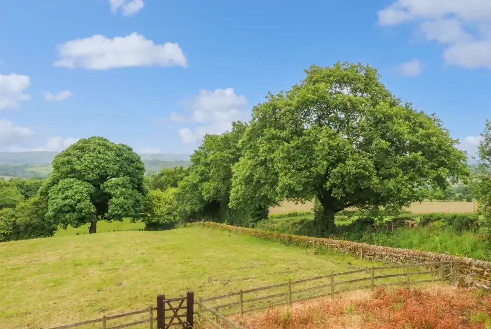 Countryside views at Small Lane Cottage