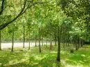 Countryside near Snowdrop Cottage - thumbnail photo