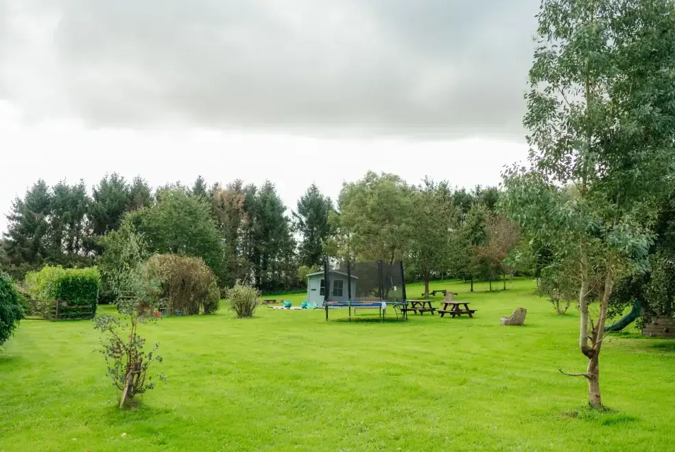 Garden at Snowdrop Cottage