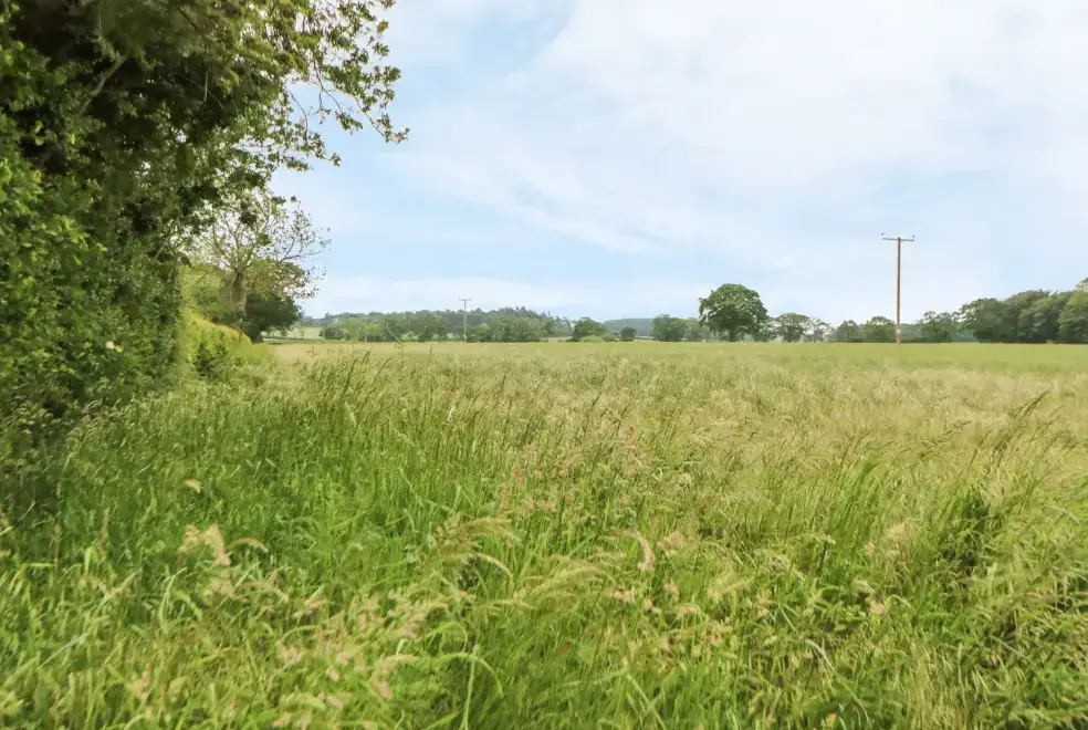 Countryside near Snowy Owl Barn