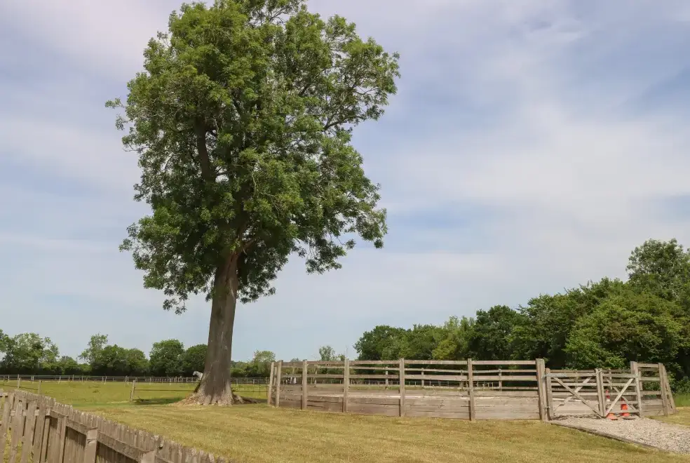 Countryside views at Snowy Owl Barn