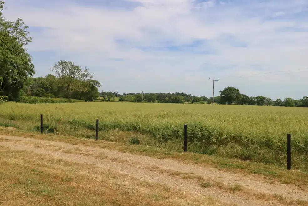 Countryside near Snowy Owl Barn