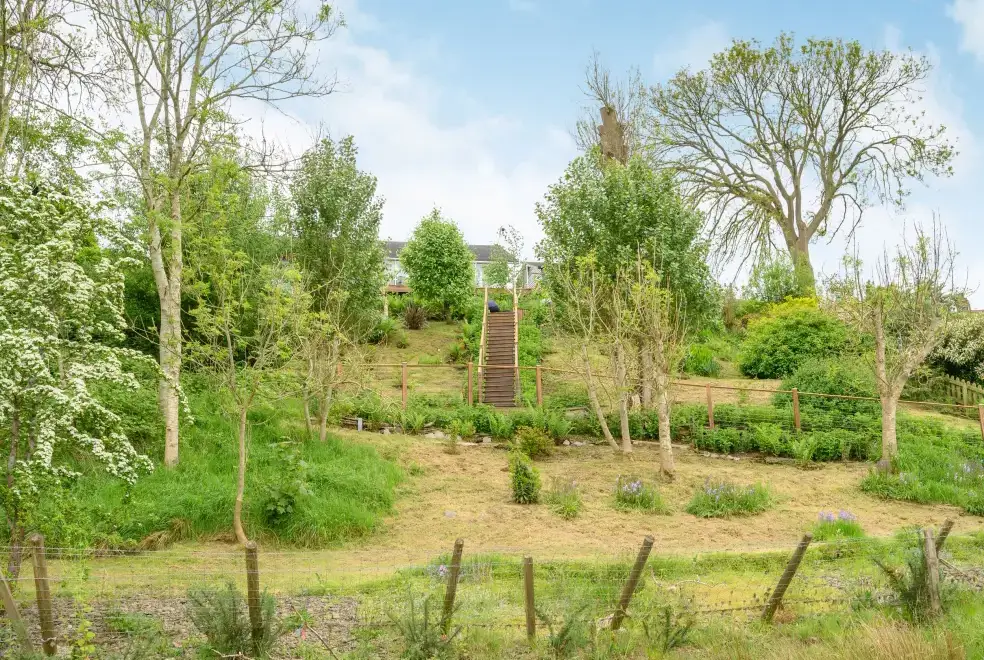 Countryside views at Solway Cottage