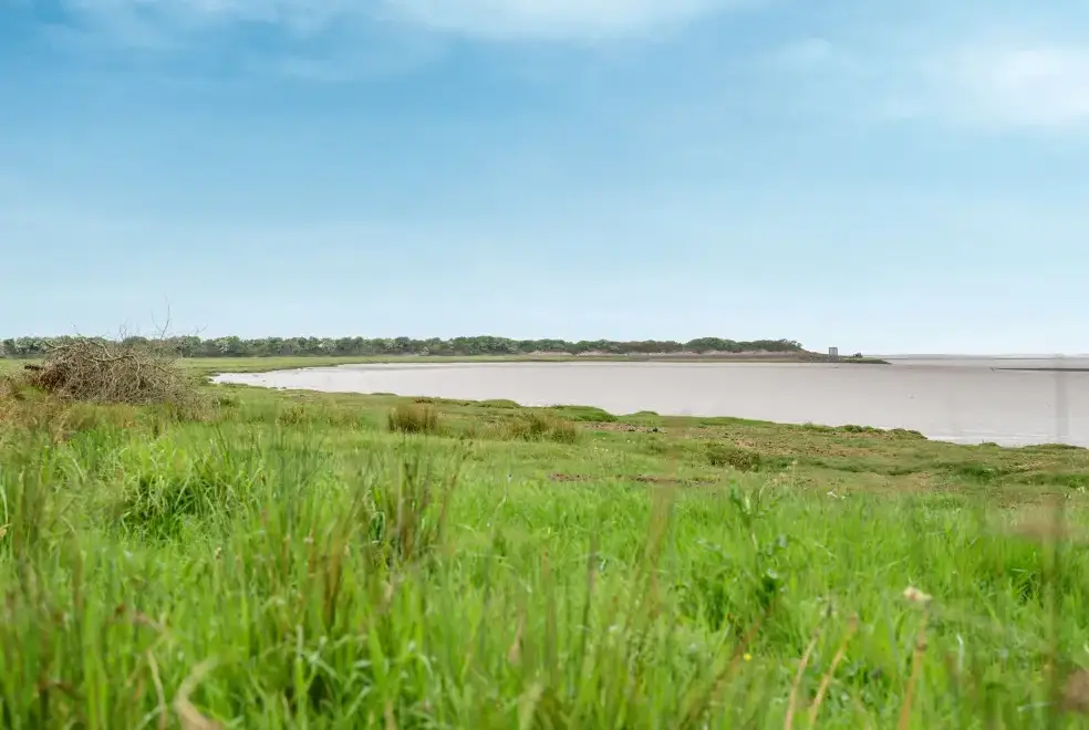 Countryside views at Solway Cottage