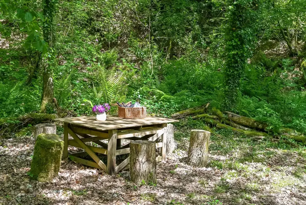 Garden at Somers Hiscott