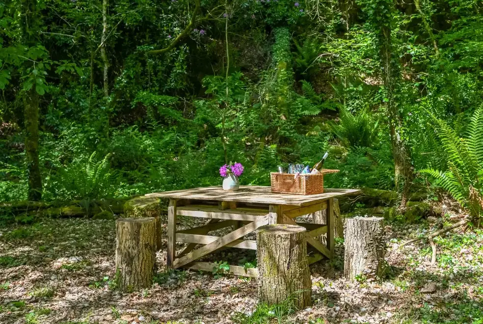 Garden at Somers Hiscott