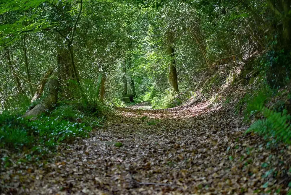 Good walks near Somers Hiscott