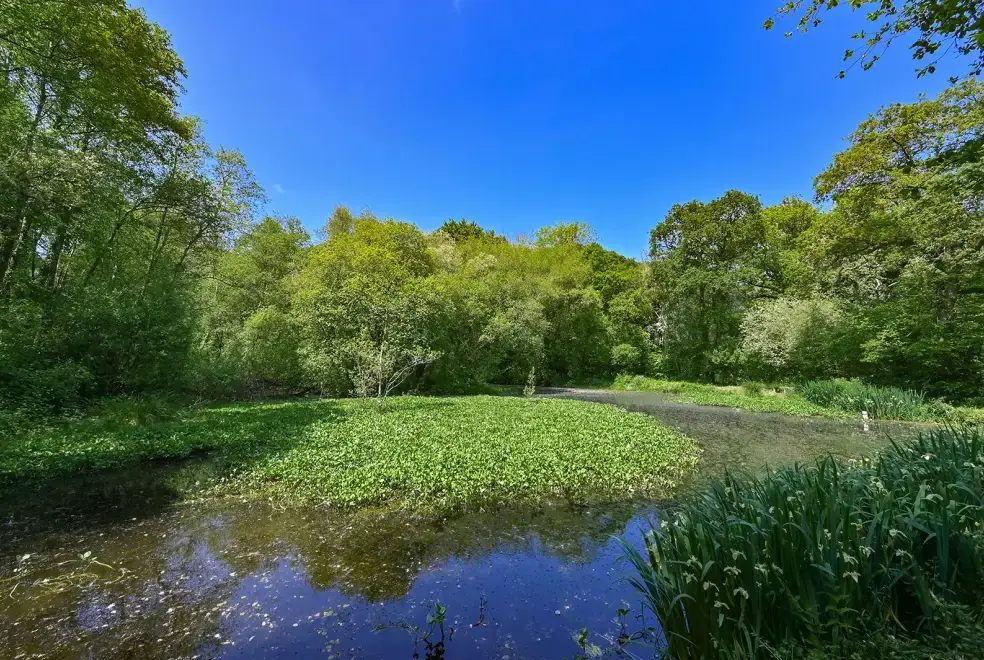 Countryside views at Somers Hiscott