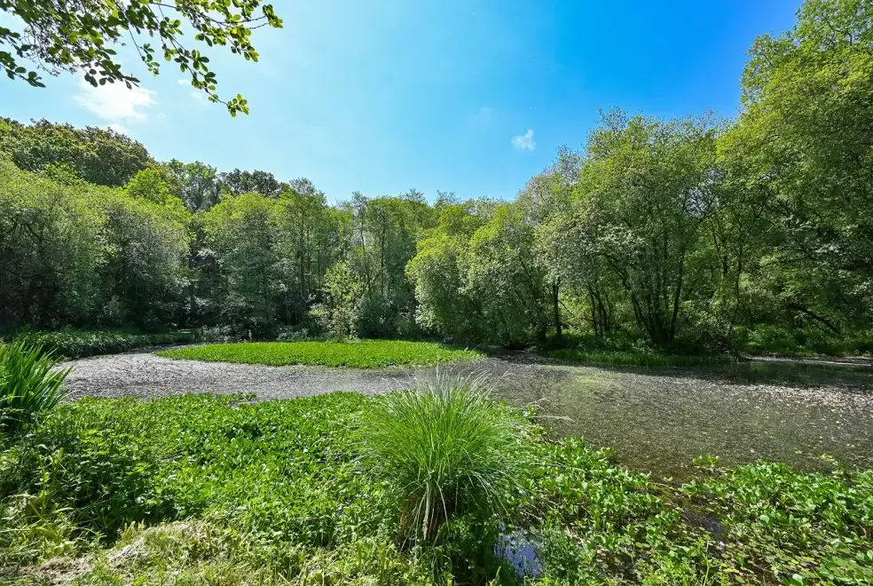 Countryside near Somers Hiscott