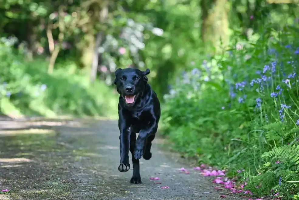 Good walks near Somers Hiscott