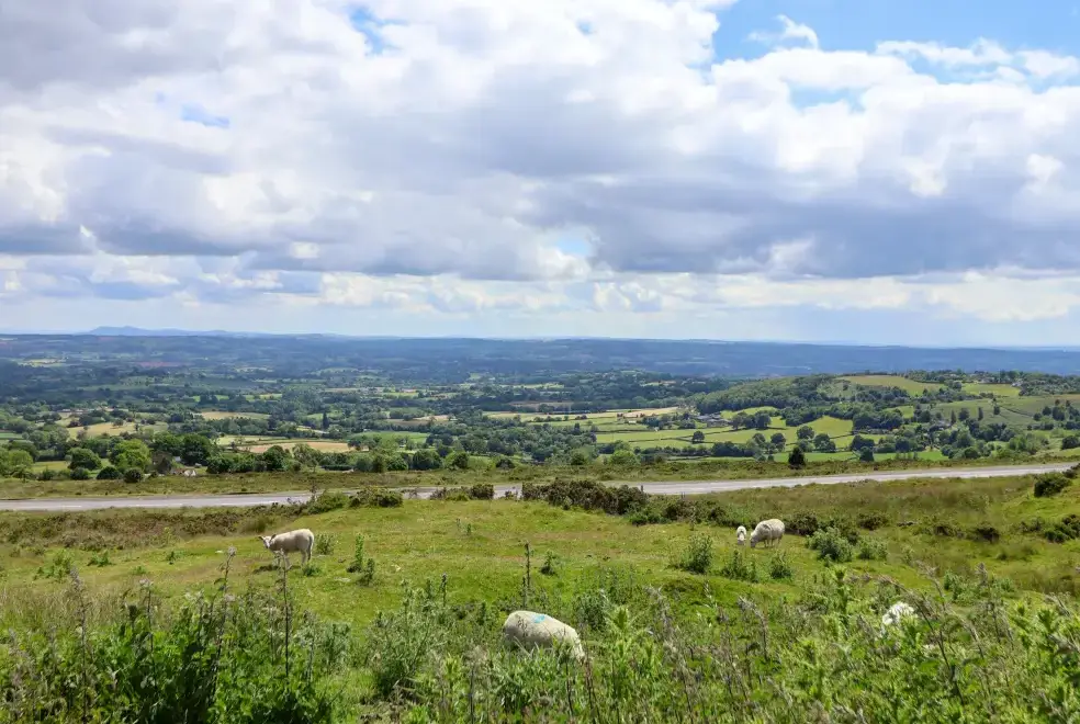 Countryside views at Southview