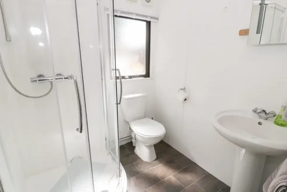 Shower room at Springtime Log Cabin