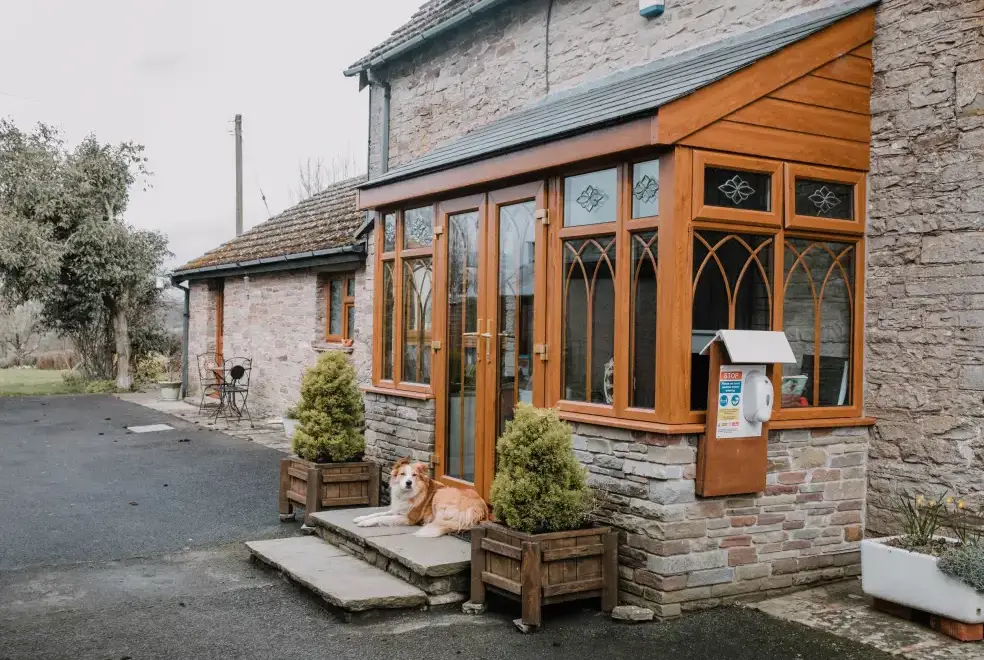 Conservatory at Stargazer's Field House