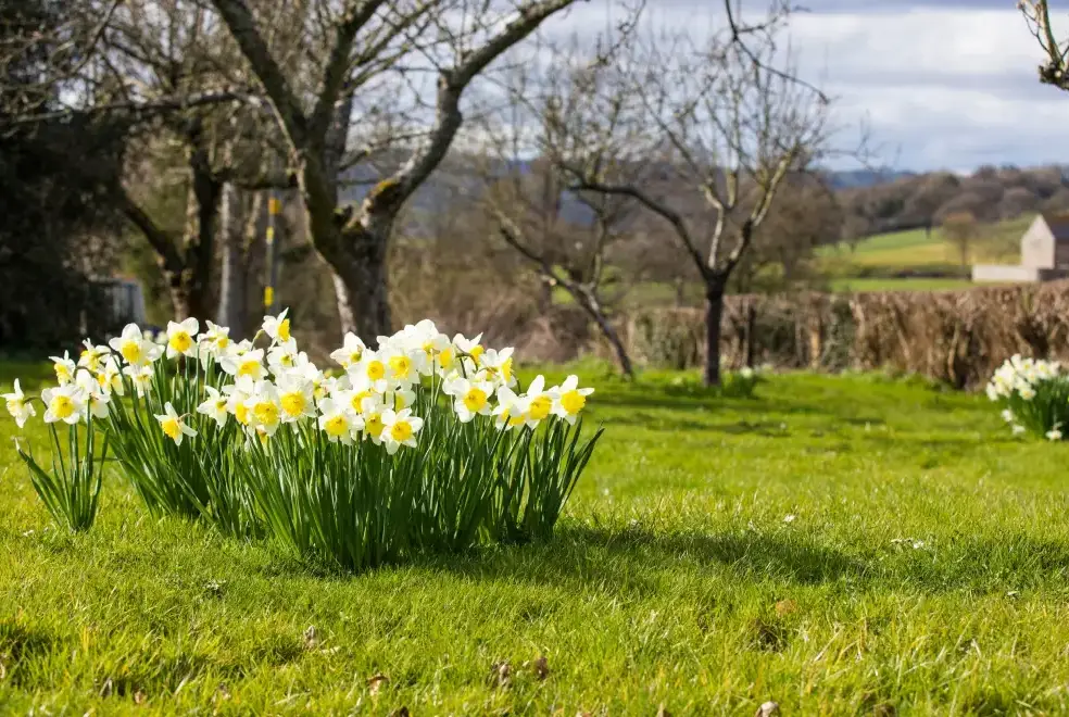 Countryside views at Stargazer's Field House