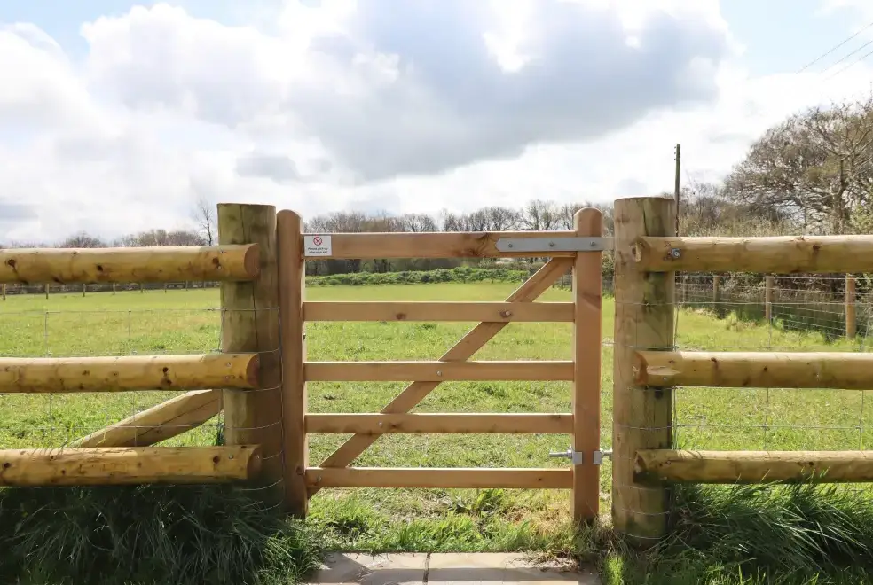 Countryside near Strawberry Bank - Kingfisher