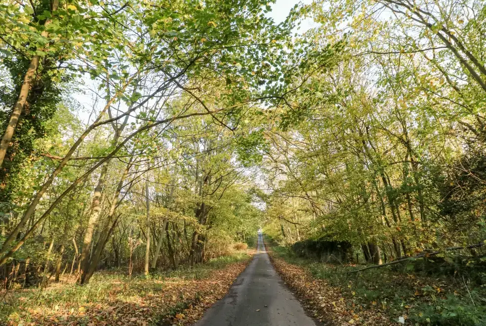 Countryside near Sunny Cottage