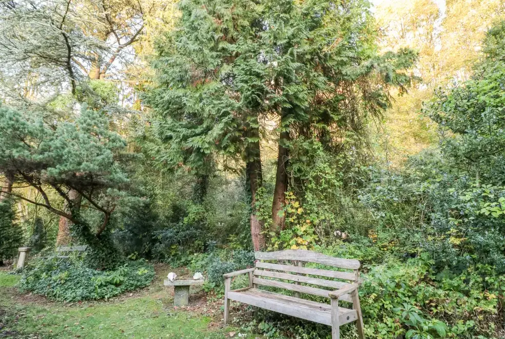 Garden at Sunny Cottage