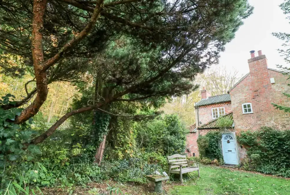 Garden at Sunny Cottage