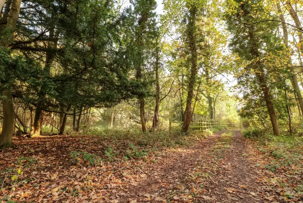 Countryside views at Sunny Cottage