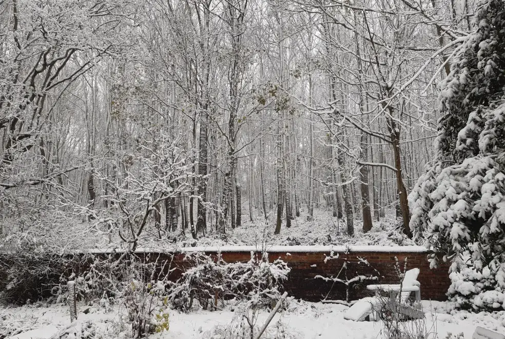Countryside views at Sunny Cottage