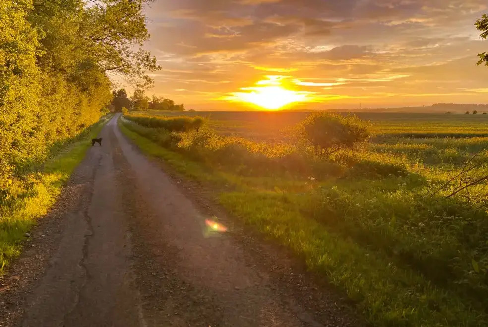 Countryside views at Sunny Cottage