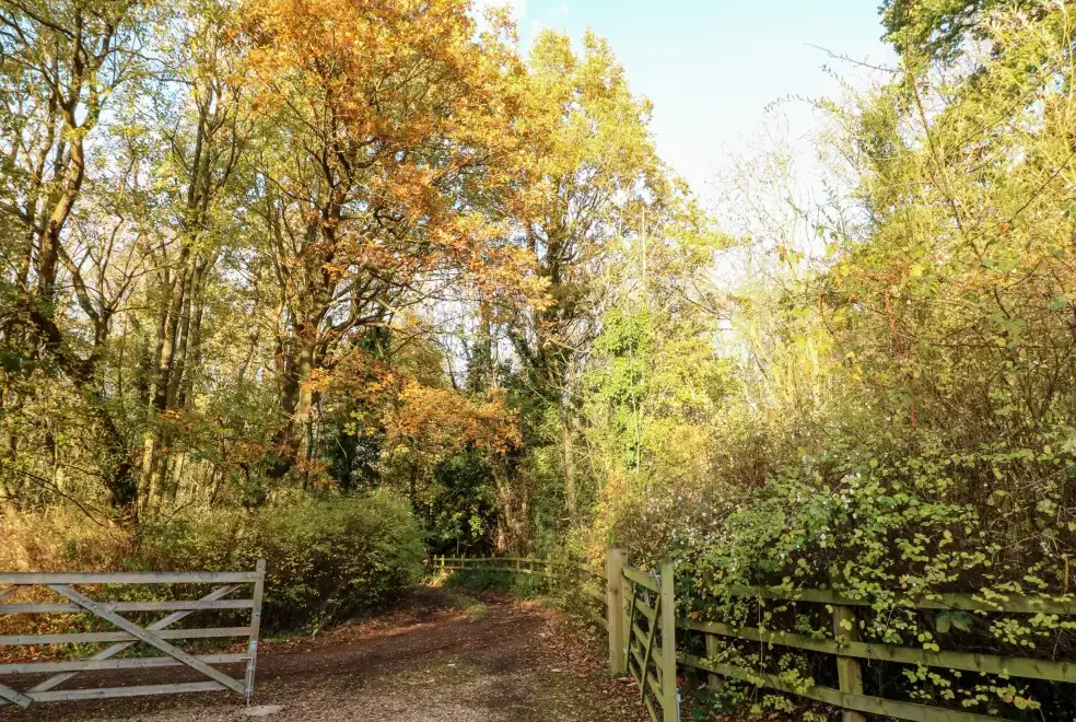 Countryside near Sunny Cottage
