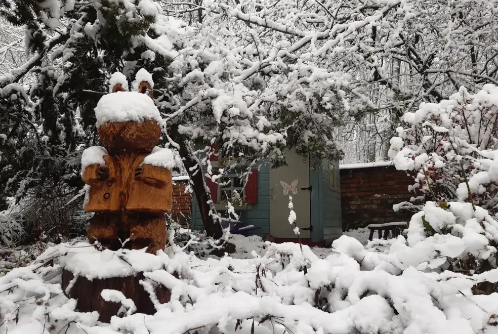 Garden at Sunny Cottage