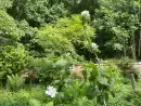 Garden at Sunny Cottage - thumbnail photo