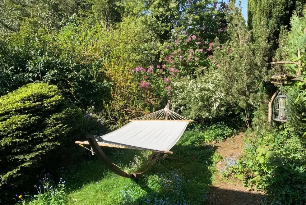 Garden at Sunny Cottage