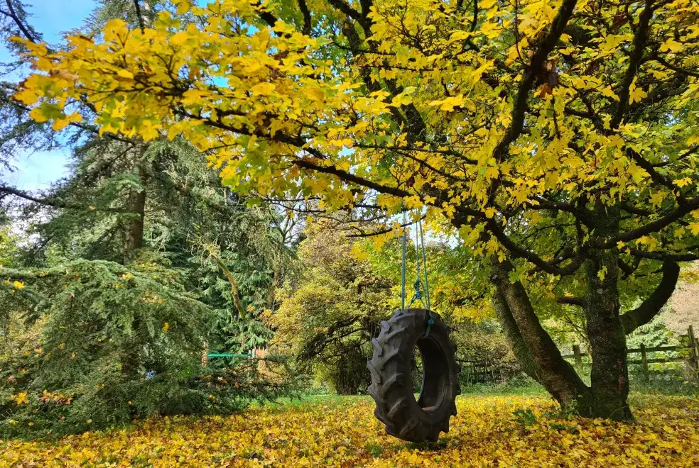 Garden at Suran Y Coed