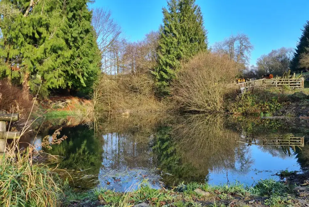Lake view at Suran Y Coed